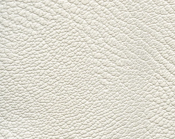 Vecchia texture in pelle bianca primo piano — Foto Stock