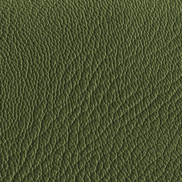 Zöld bőr textúra, hasznos háttér — Stock Fotó