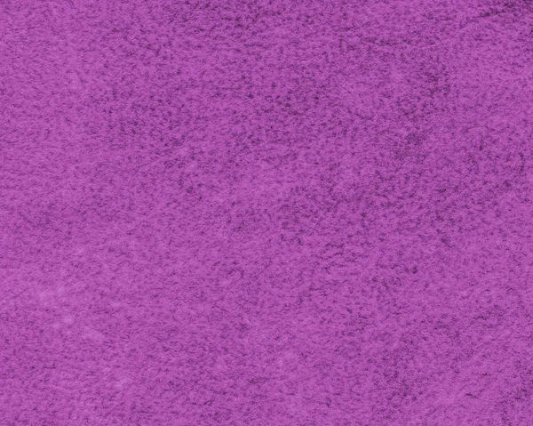 Painted violet fragment of wrong side of tanned cowhide — Stock Photo, Image