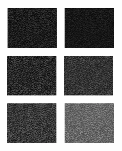 Samples of shades of black leather — Stock Photo, Image