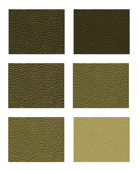 Образцы оттенков желтовато-зеленой кожи — стоковое фото