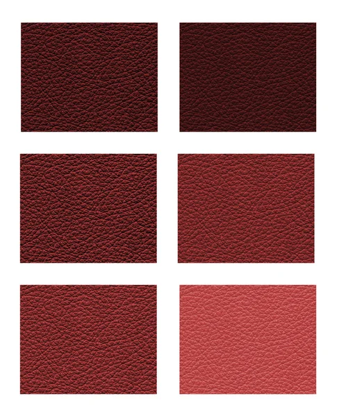 Samples of shades of red leather — Stock Photo, Image