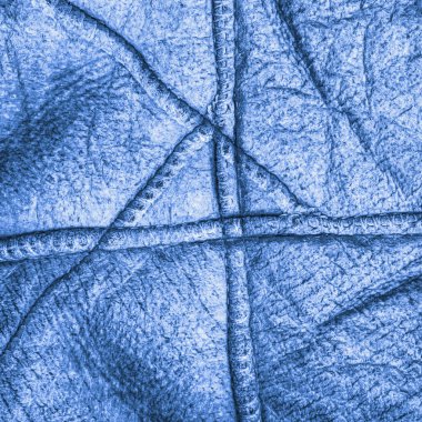 koyun derisi yanlış tarafında mavi parçası boyalı