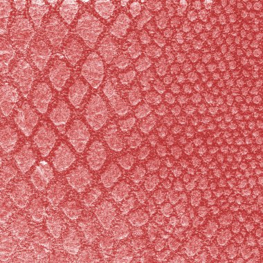 Kırmızı yılan cilt dokusunu boyalı. Arka plan için yararlı