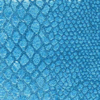 mavi yılan cilt dokusunu boyalı. Arka plan için yararlı 