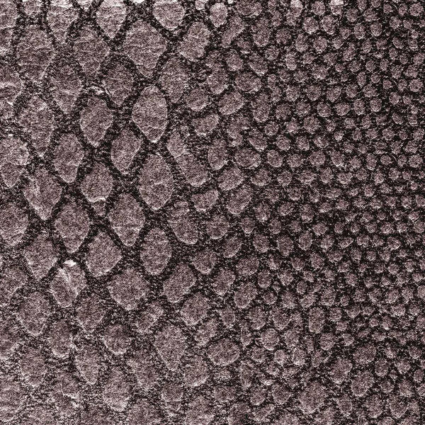 Textura da pele de cobra marrom. Útil para fundo — Fotografia de Stock