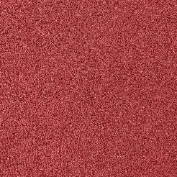 Rode leder texture of achtergrond — Stockfoto
