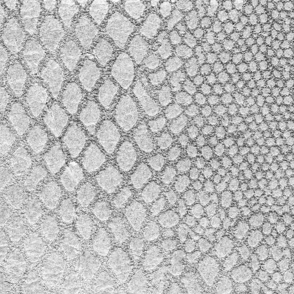 Texture pelle di serpente scolorita. Utile per lo sfondo — Foto Stock