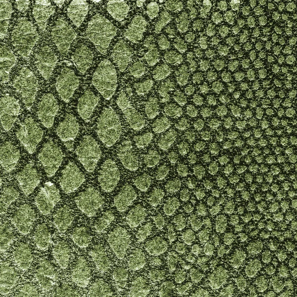 Textura de pele de cobra verde. Útil para fundo — Fotografia de Stock