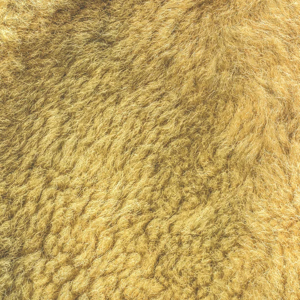 Malowane żółty futro naturalne tekstury — Zdjęcie stockowe