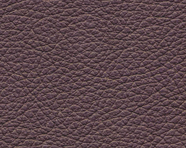 Brown leather texture closeup.Useful for background — Stock Photo, Image