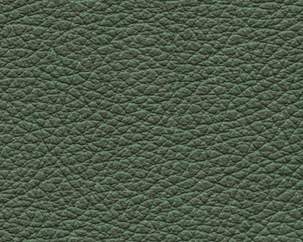 Texture in pelle verde primo piano. Utile per lo sfondo — Foto Stock