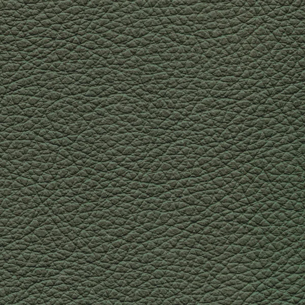 Textura de couro verde para fundo — Fotografia de Stock