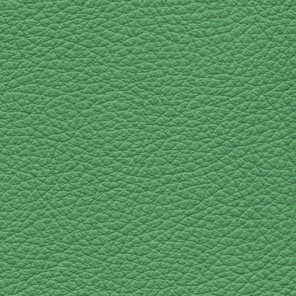 Licht groene leder texture voor achtergrond — Stockfoto