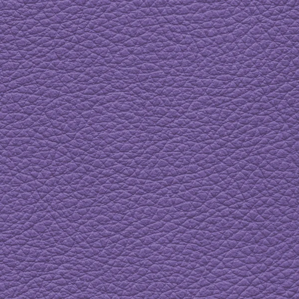 Textura de couro violeta para fundo — Fotografia de Stock