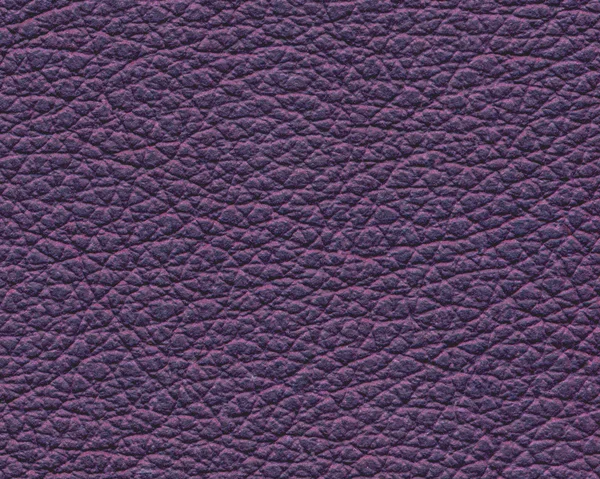 Violet leather texture closeup.Useful for background — Stock Photo, Image