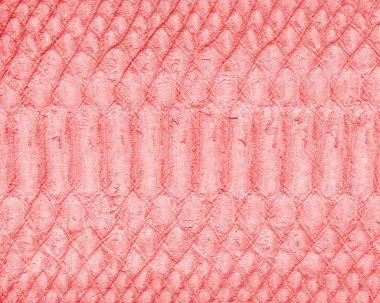 Kırmızı yılan deri doku veya arka plan boyalı