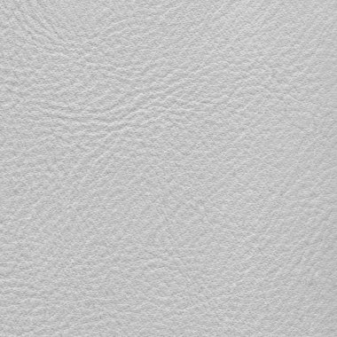 Beyaz deri doku portre