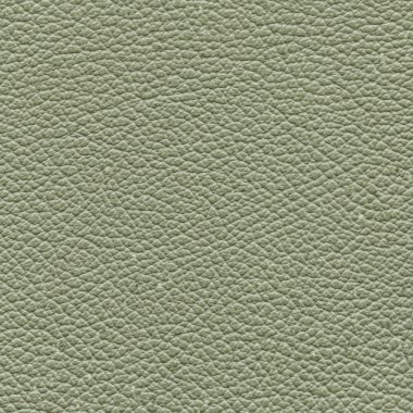 arka plan olarak soluk gri-yeşil deri doku