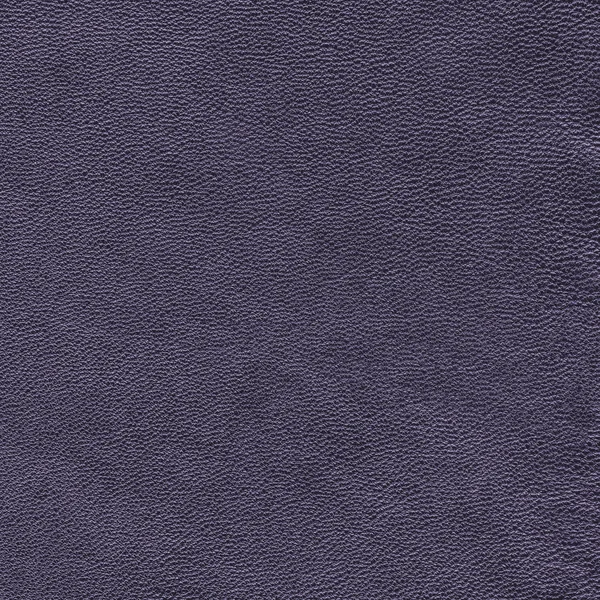 Textura de couro violeta para fundo — Fotografia de Stock