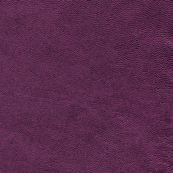 Texture de cuir violet pour le fond. — Photo