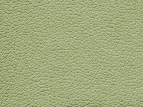 Texture cuir vert clair comme fond — Photo