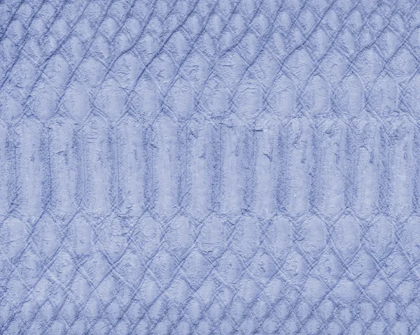 Mavi yılan deri doku veya arka plan boyalı — Stok fotoğraf