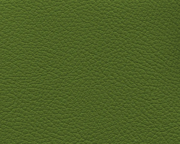 Texture de cuir vert comme fond pour la conception-travaux — Photo