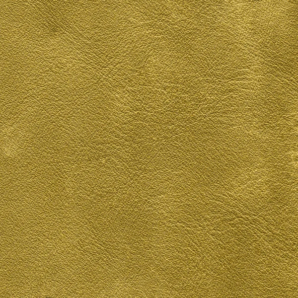 Sarı deri doku portre — Stok fotoğraf