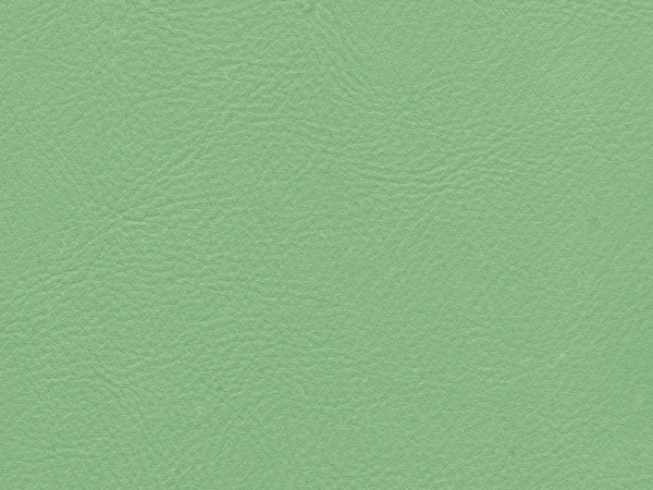 Ελαφρύ πράσινο τεχνητή δέρμα υπόβαθρο για το σχεδιασμό του εργοστασίου — Φωτογραφία Αρχείου
