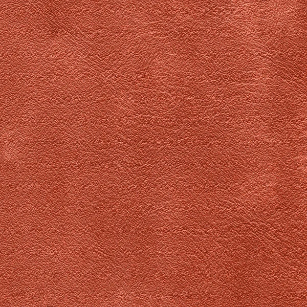 Detailní textury červené koženky — Stock fotografie