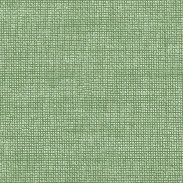 Vieux sac vert texture gros plan . — Photo