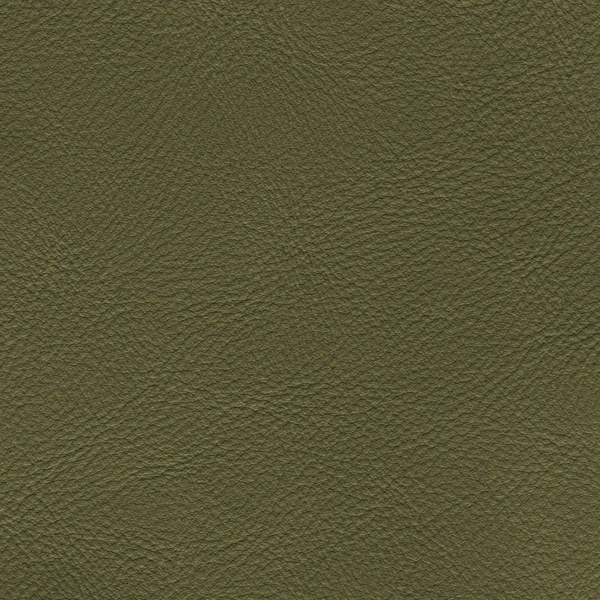 Zöld bőr textúra — Stock Fotó