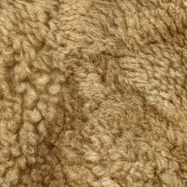 Fondo di pelliccia naturale marrone chiaro per lavori di design — Foto Stock