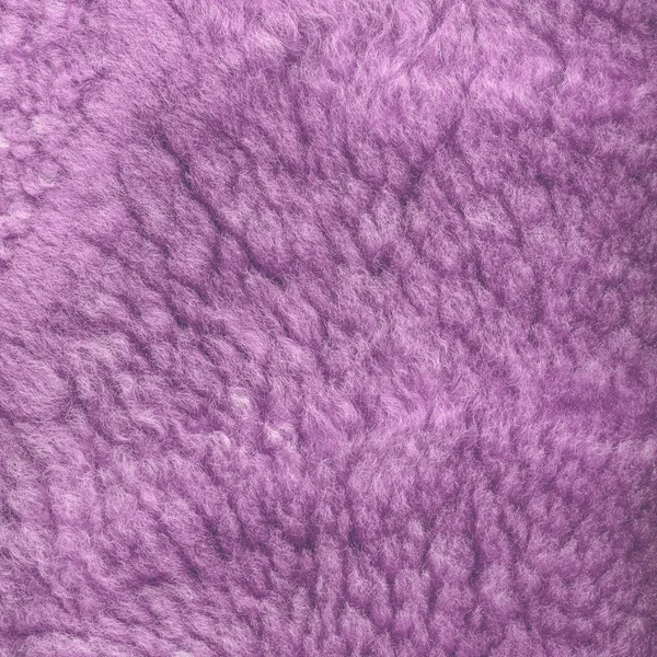 Textura de piel natural violeta pintada — Foto de Stock