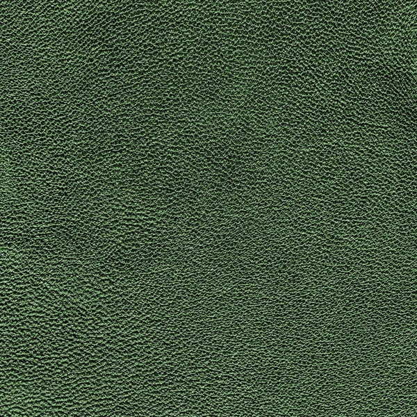 Texture cuir vert — Photo