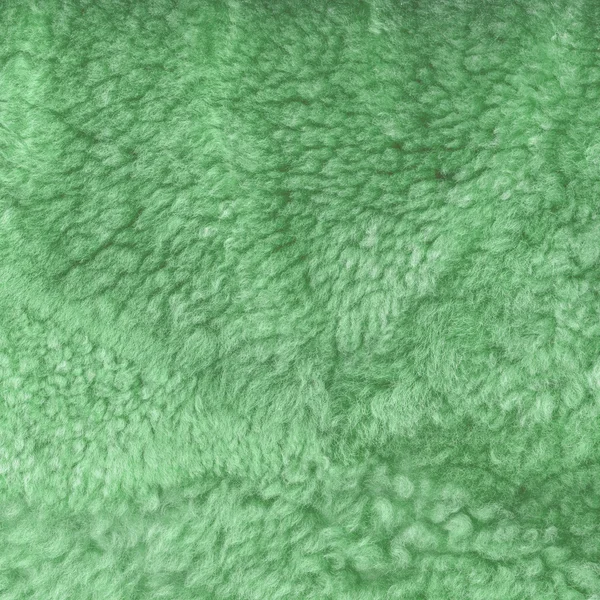 Textura o fondo de piel natural verde pintado — Foto de Stock