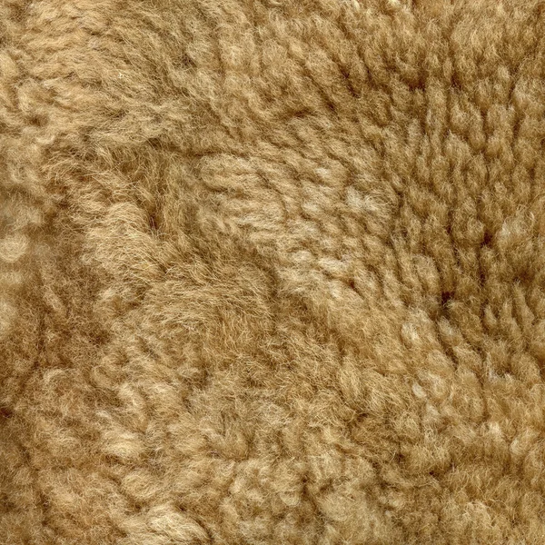 Texture marrone chiaro pelliccia naturale primo piano — Foto Stock