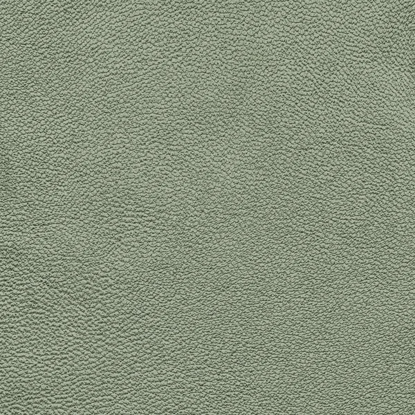 Gray-green leather texture. Useful as background — Stock Photo, Image