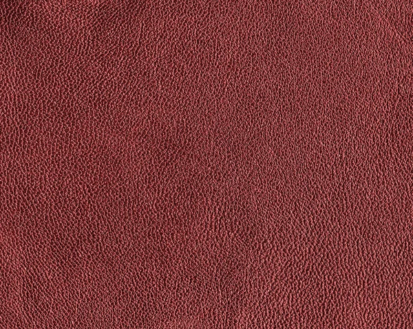 Textura de cuero rojo. Útil como fondo —  Fotos de Stock