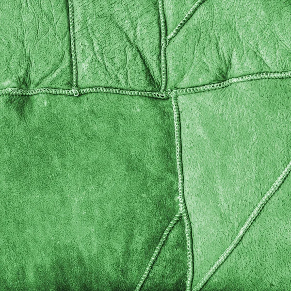 The texture of the wrong side of a fur coat painted green. — Stock Photo, Image