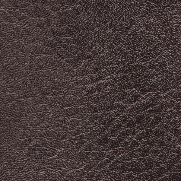 Brown leather texture closeup — Stock Photo, Image