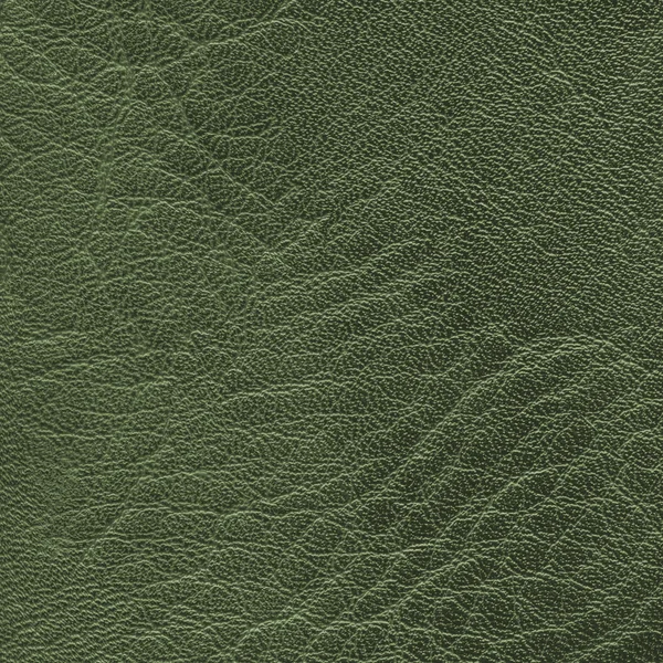 Green leather texture closeup — Stock Photo, Image