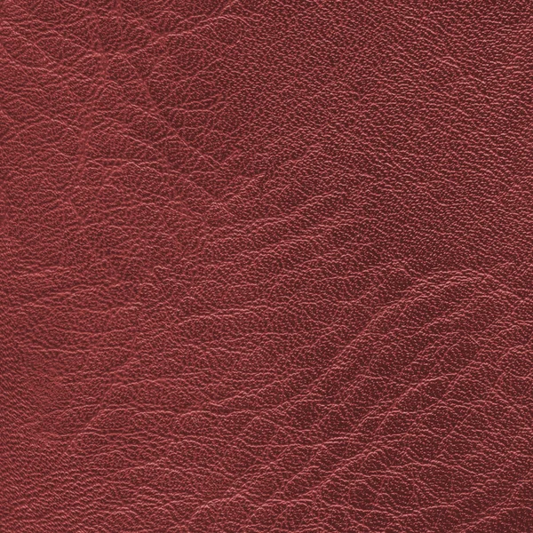 Red leather texture closeup. Can be used for background — Stock Photo, Image