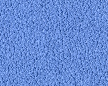 gök mavi deri doku portre,