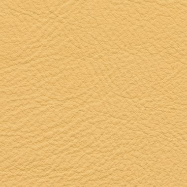 Sarı suni deri doku portre  