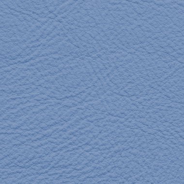 Mavi suni deri doku portre 