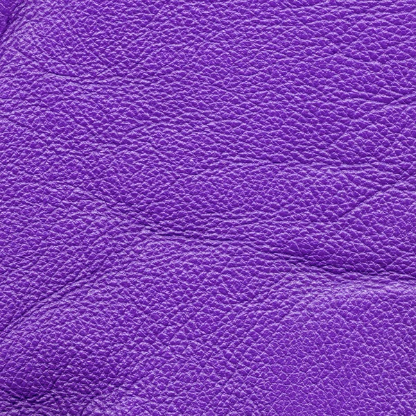 Cuir violet texture gros plan — Photo