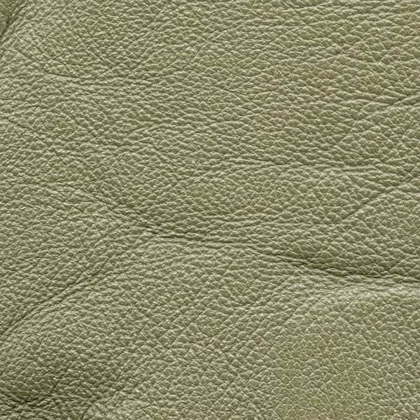 Textura de couro verde close-up — Fotografia de Stock