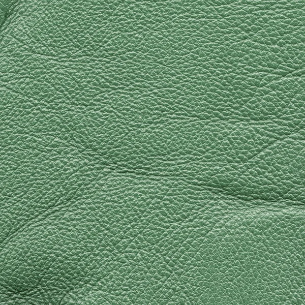 Textura de couro verde, útil como fundo — Fotografia de Stock